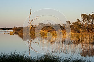 The Diamantina river at Birdsville.