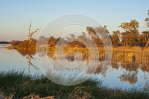 The Diamantina river at Birdsville. photo