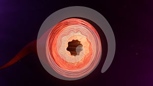 Diameter of the blood vessels