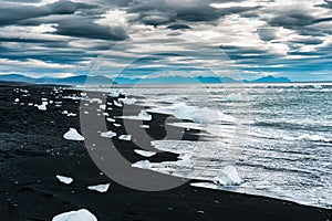 Diamond beach with iceberg melting on black sand beach in summer at Iceland