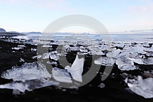 Diamond beach - Iceland - Jokulsarlon photo