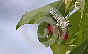 Diamond engagement ring on flower