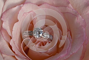 Diamond Engagement Ring In Unfolding Pink Rose