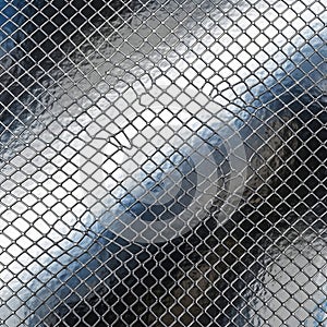 Diamond Grid on Glossy Chrome Texture