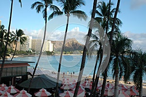 Diamond Head from the Royal photo