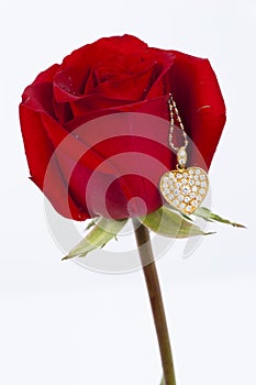 Diamond heart shape pendant and red rose