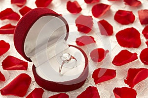 Diamond Ring In Box Surrounded By Rose