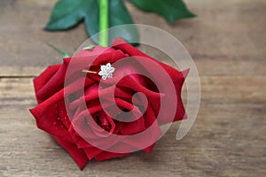 Diamond ring hidden in red rose petals.