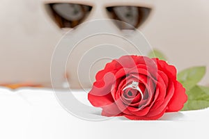 Diamond ring inside red rose over two wine glasses