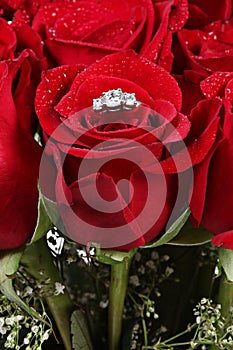 Diamond ring in a rose