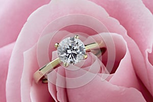 Diamond Ring and Rose photo