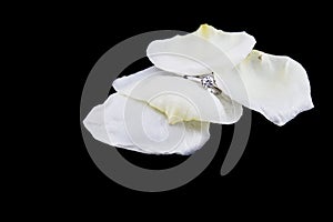 Diamond ring with white rose petal