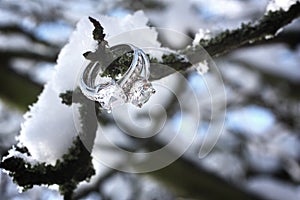 Diamond rings in winter scene