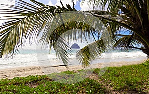 The Diamond rock and Caribbean beach , Martinique island.