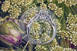 Diamond wedding engagement ring on natural romantic background