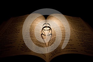 Diamond Wedding Ring On A Bible