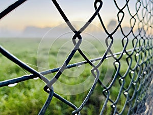 diamond wire mesh fence.