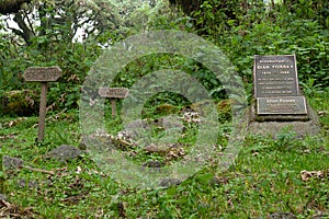 Dian Fossey's grave besides her most beloved gorillas known from the movie gorillas in the mist photo