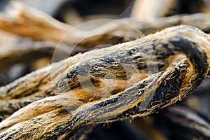 Dianhong tea is a type of relatively high end gourmet Chinese black tea. Macro. Under a microscope.