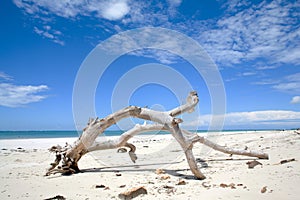 Diani Beach Genral View