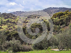 Diano Marina's Ligurian hinterland scenery