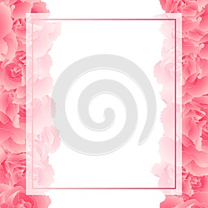 Dianthus caryophyllus - Pink Carnation Flower Banner Card Border. Vector Illustration photo