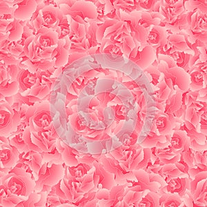 Dianthus caryophyllus - Pink Carnation Flower Seamless Background. Vector Illustration photo