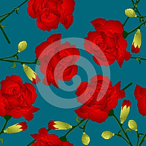 Dianthus caryophyllus - Red Carnation Flower on Indigo Blue Background. Vector Illustration photo