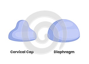 Diaphragm and cervical cap