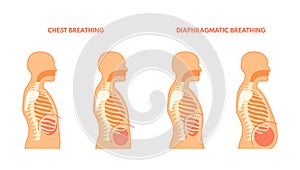 Diaphragmatic breathing. Pulmonary exercises chest and abdominal breath training, relax trachea respiration technique