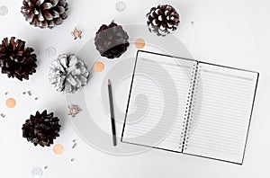 Diary christmas composition for christmas time. cones and christmas decorations on white background.
