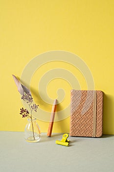 Diary notebook, colored pencil, clip, vase of dry flower on gray desk. yellow wall background. workspace