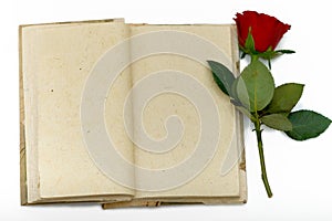 Diary with opened sheets and with red rose