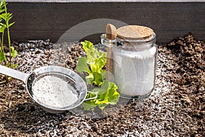 Diatomaceous earth Kieselgur powder in jar for non-toxic organic insect repellent.