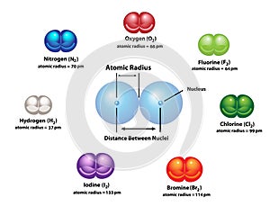 Atomic Radius of Diatomic Molecules photo