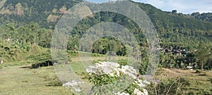 Dibalik gunung bromo