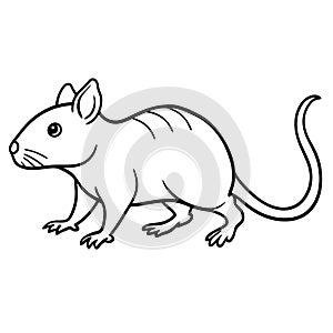 Dibbler rodent walks icon vector