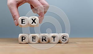 Dice form the word `EXPERTS`