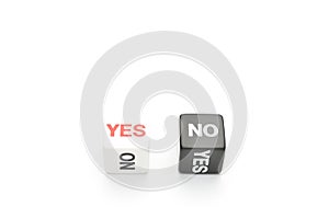 Dice yes,no