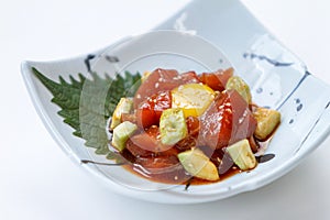 Diced Maguro Bluefin Tuna Salad with Diced Avocado and Egg Yolk Served on Japanese Ink Painted Ceramic Plate