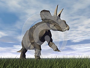 Diceratops dinosaur - 3D render