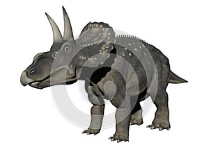 Diceratops dinosaur - 3d render