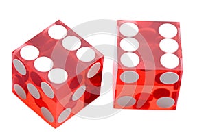 Dices of the casino