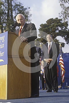Cheney and Colin Powell