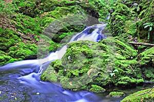 Green Moss and Cold Water