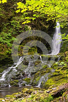 Dickson Falls (Slow shutter speed)