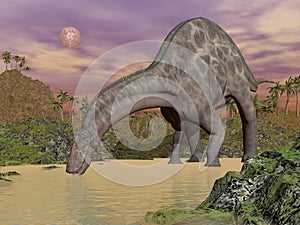 Dicraeosaurus dinosaur drinking - 3D render