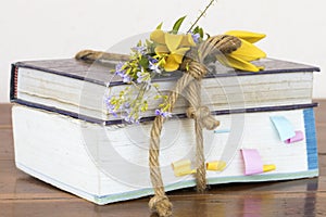 Dictionary ,book for study of student