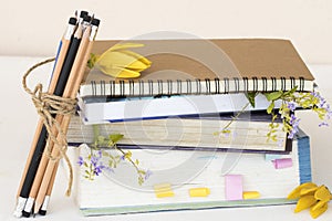 Dictionary ,book for study of student