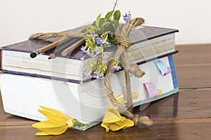 Dictionary ,book for study of student